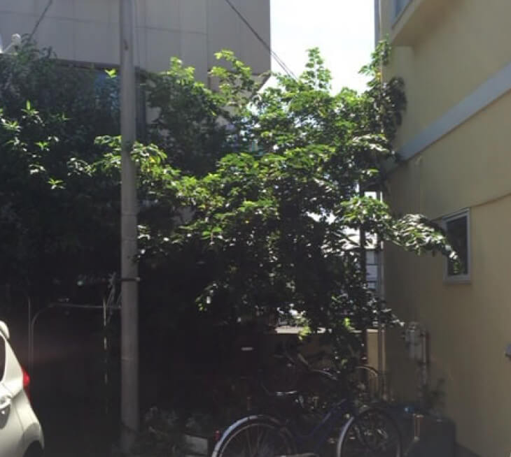BEFORE