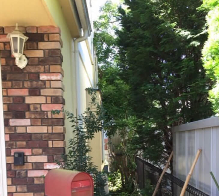 BEFORE