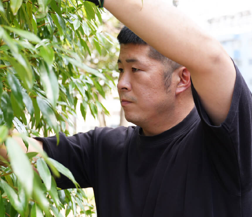経験豊富な植木職人が直接担当