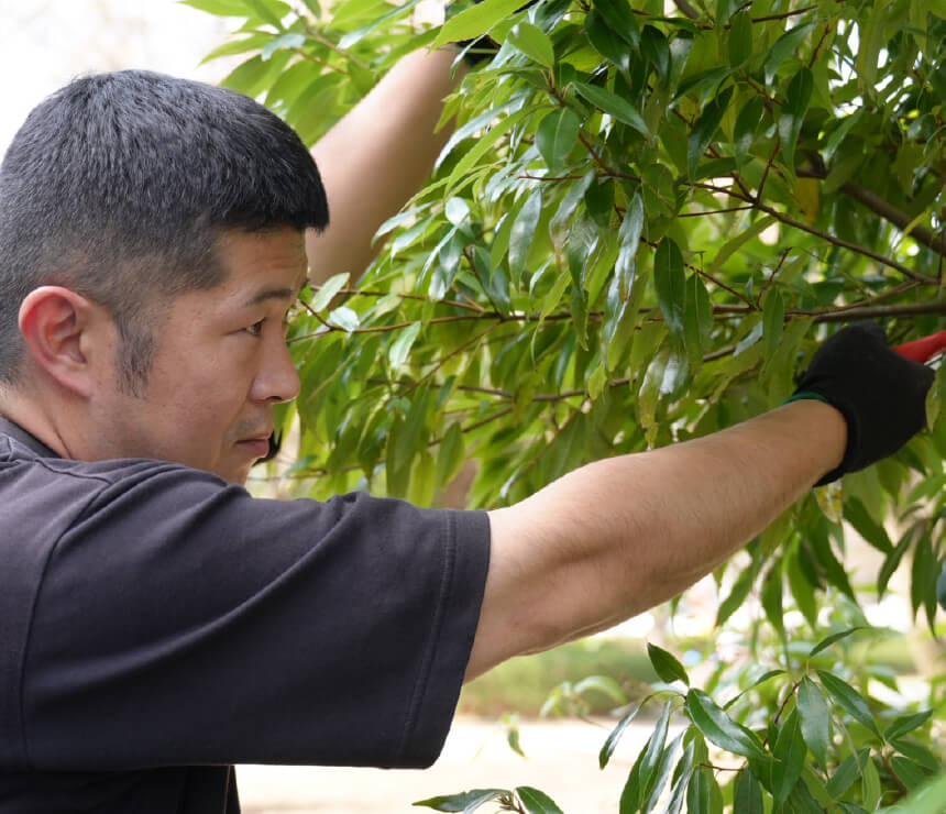 掃除力が植木の仕上がりを左右する!?